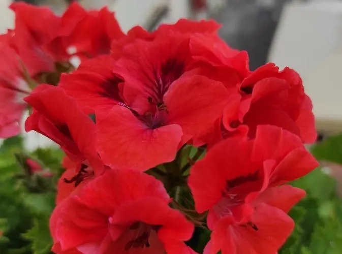 Romantic Getaway In The Heart Of Amalfi