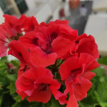 Romantic Getaway In The Heart Of Amalfi